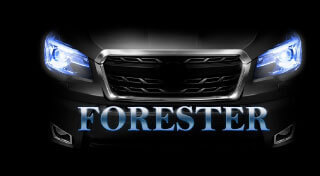 フォレスター（SJ系）