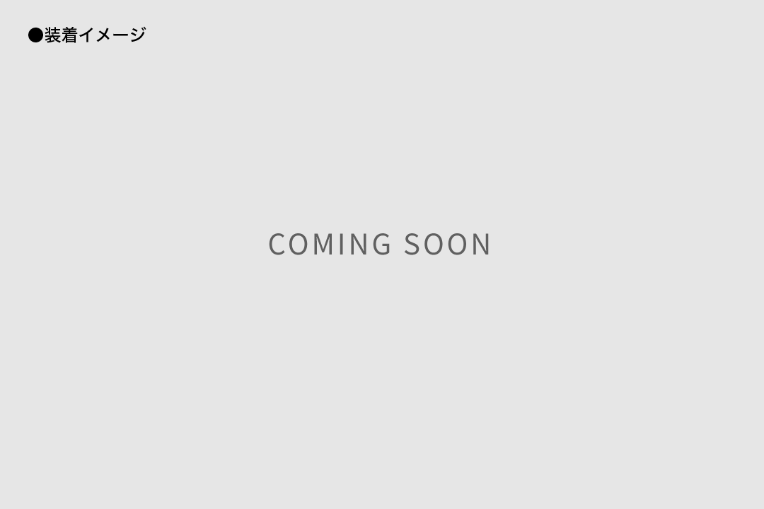 装着イメージ