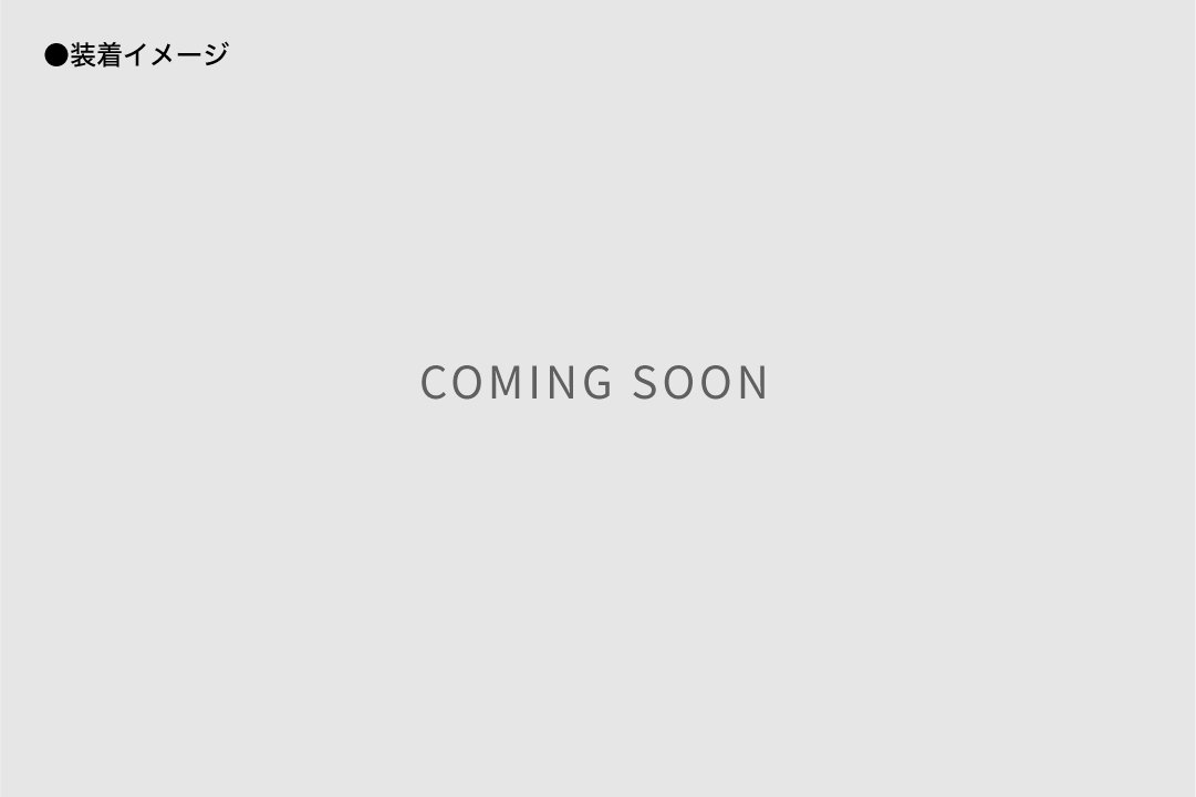 装着イメージ