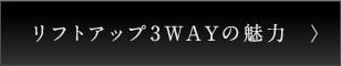リプトアップ3WAYの魅力